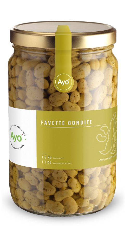 Favette condite
